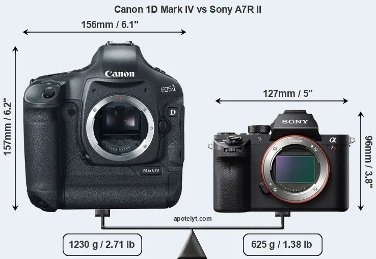 Size Canon 1D Mark IV vs Sony A7R II