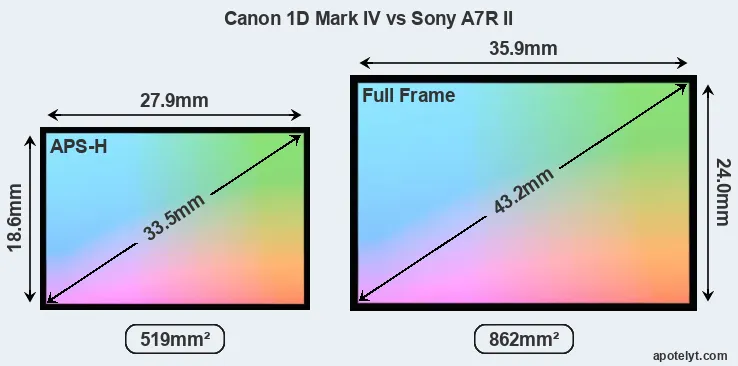 Canon 1D Mark IV and Sony A7R II sensor measures