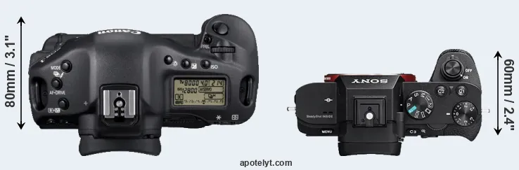 Compare 1D Mark IV versus A7R II top