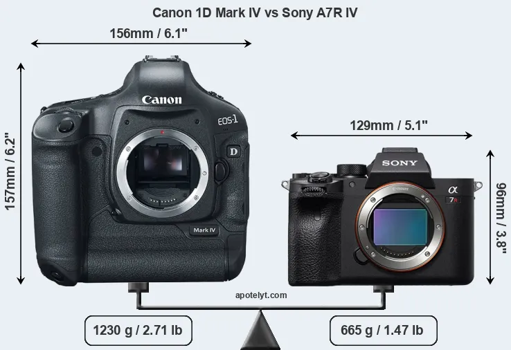 Size Canon 1D Mark IV vs Sony A7R IV
