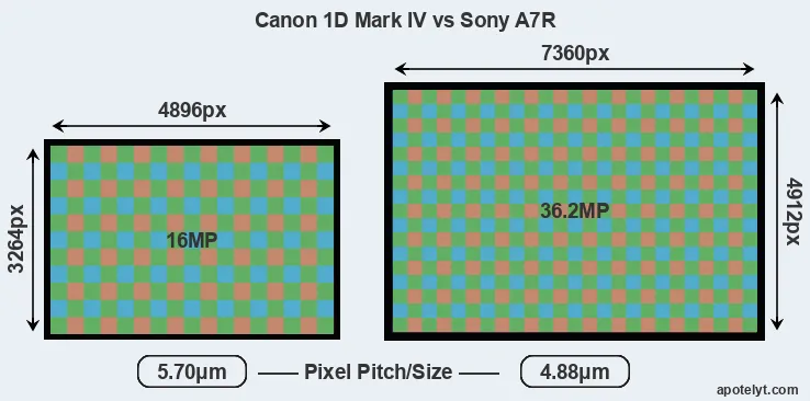 1D Mark IV versus A7R MP
