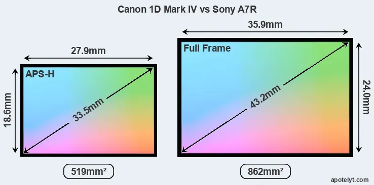 Canon 1D Mark IV and Sony A7R sensor measures
