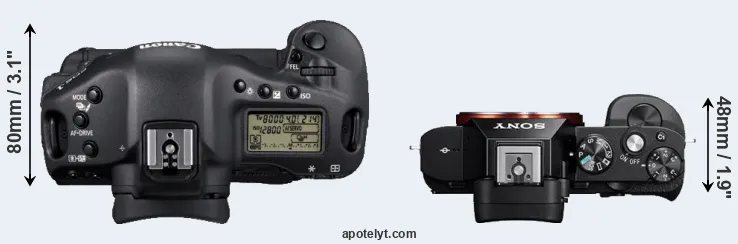 Compare 1D Mark IV versus A7R top