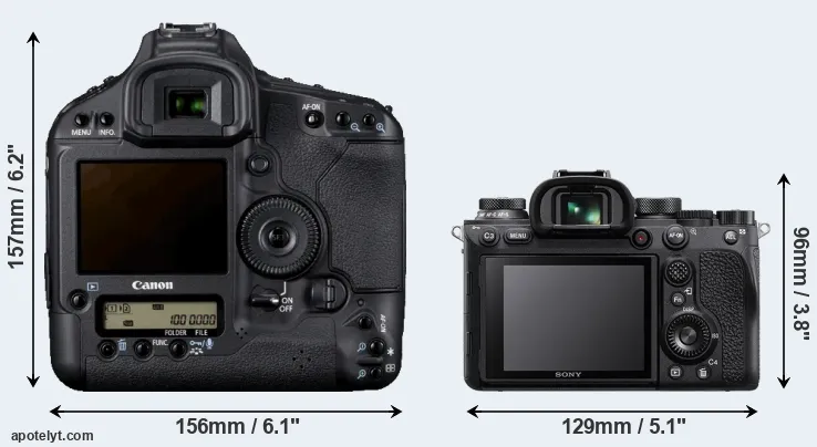 Comparison 1D Mark IV or A9 II rear