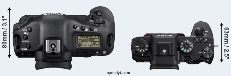 Compare 1D Mark IV versus A9 top