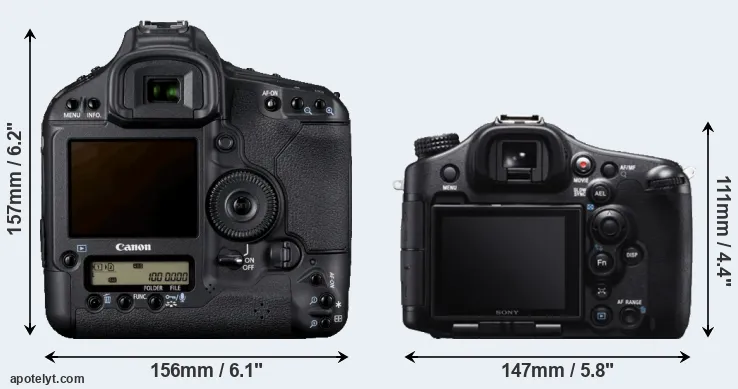 Comparison 1D Mark IV or A99 rear