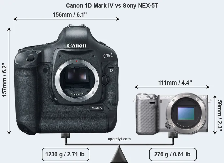 Size Canon 1D Mark IV vs Sony NEX-5T