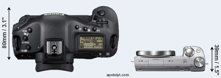 Compare 1D Mark IV versus NEX-5T top