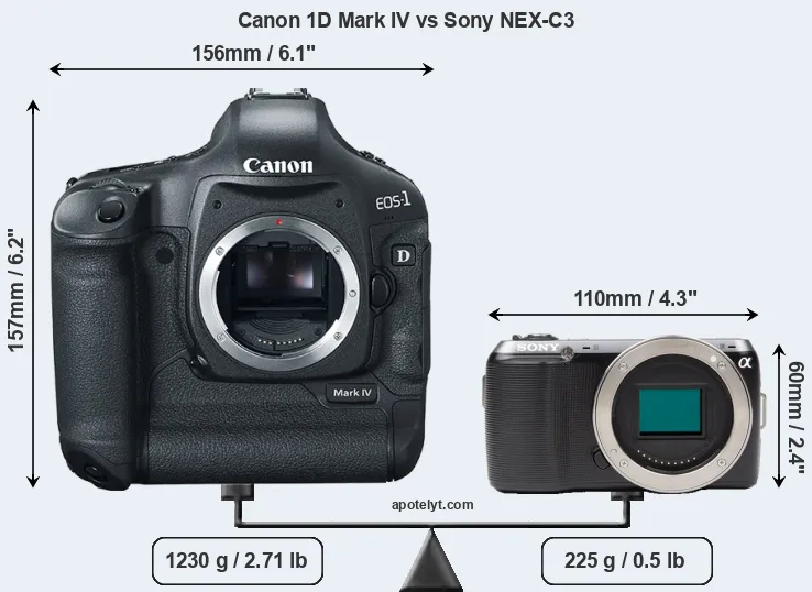 Size Canon 1D Mark IV vs Sony NEX-C3
