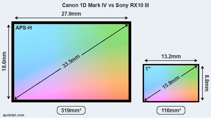 Canon 1D Mark IV and Sony RX10 III sensor measures