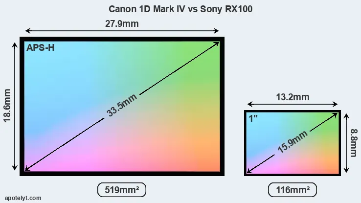 Canon 1D Mark IV and Sony RX100 sensor measures
