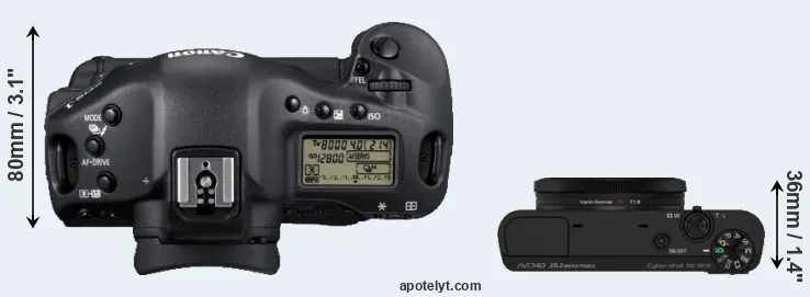 Compare 1D Mark IV versus RX100 top