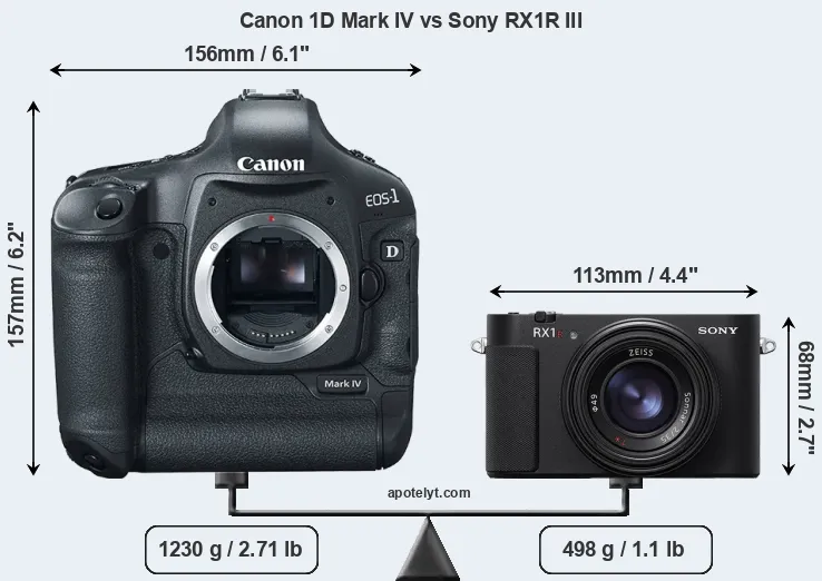 Size Canon 1D Mark IV vs Sony RX1R III