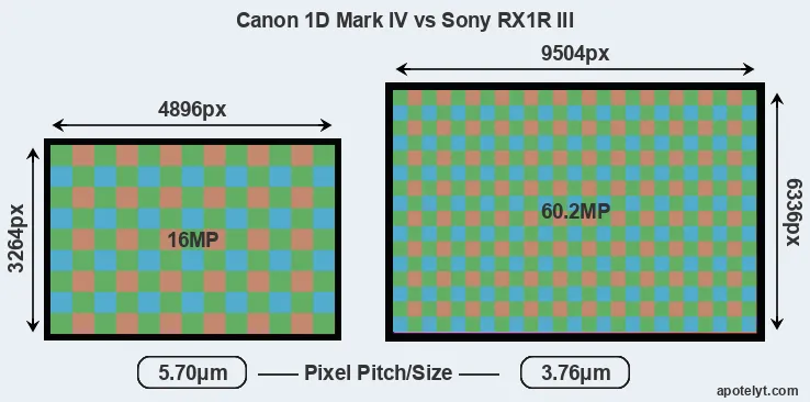 1D Mark IV versus RX1R III MP