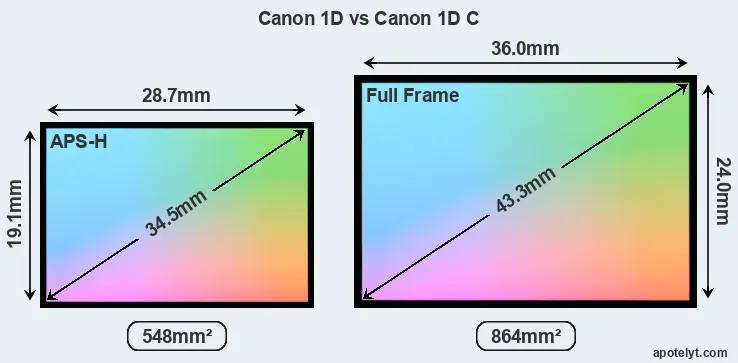 Canon 1D and Canon 1D C sensor measures