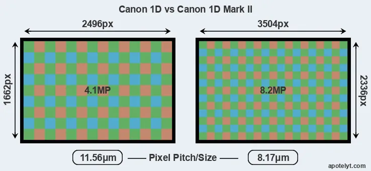 1D versus 1D Mark II MP