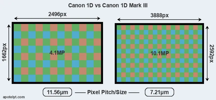 1D versus 1D Mark III MP