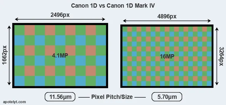 1D versus 1D Mark IV MP