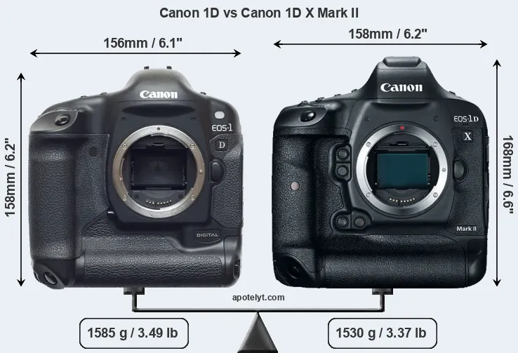 Size Canon 1D vs Canon 1D X Mark II