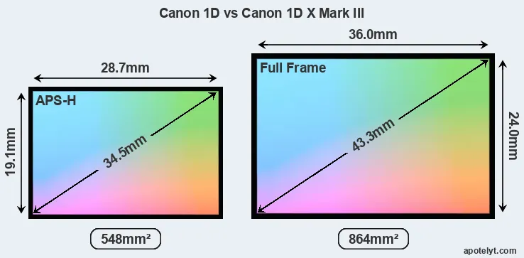 Canon 1D and Canon 1D X Mark III sensor measures