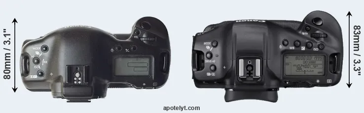 Compare 1D versus 1DX Mark III top