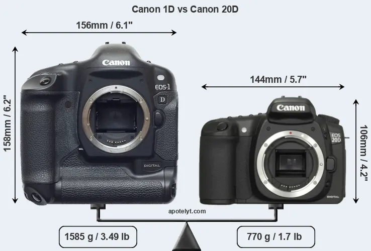 Size Canon 1D vs Canon 20D
