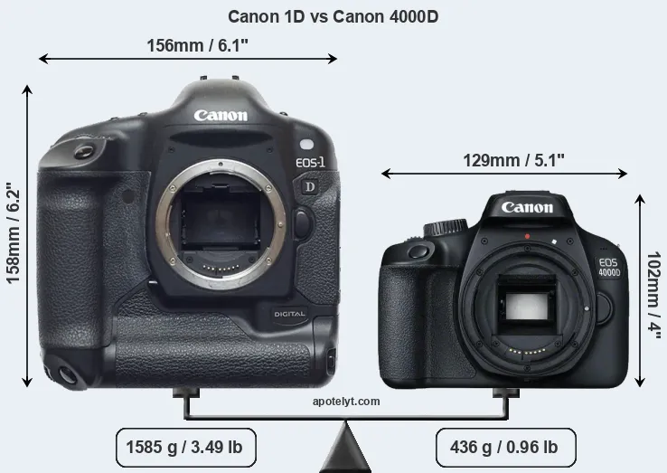 Size Canon 1D vs Canon 4000D