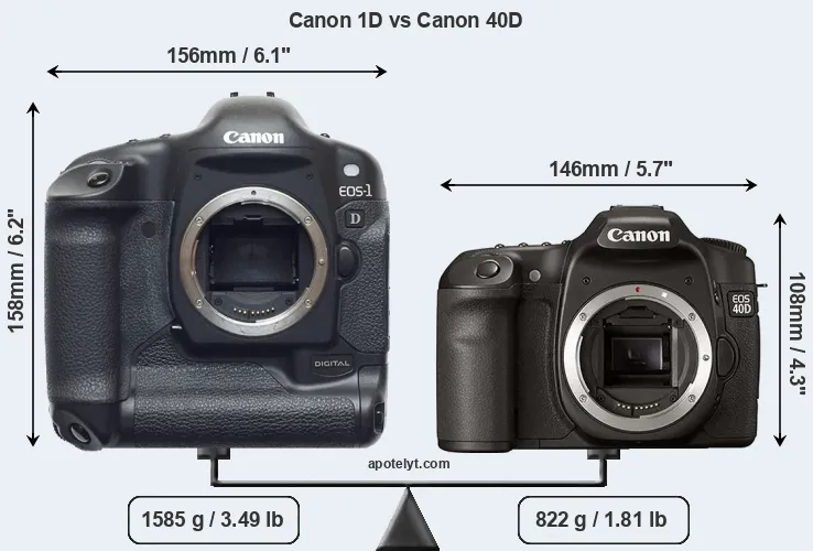 Size Canon 1D vs Canon 40D
