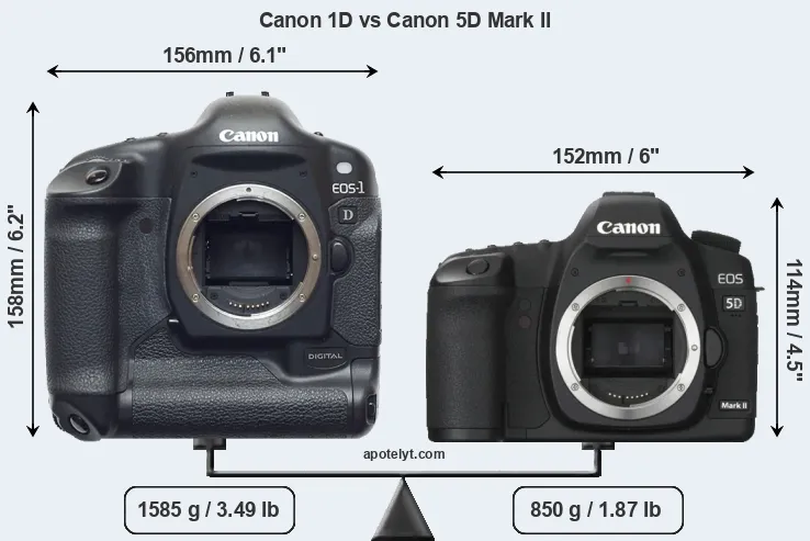 Size Canon 1D vs Canon 5D Mark II