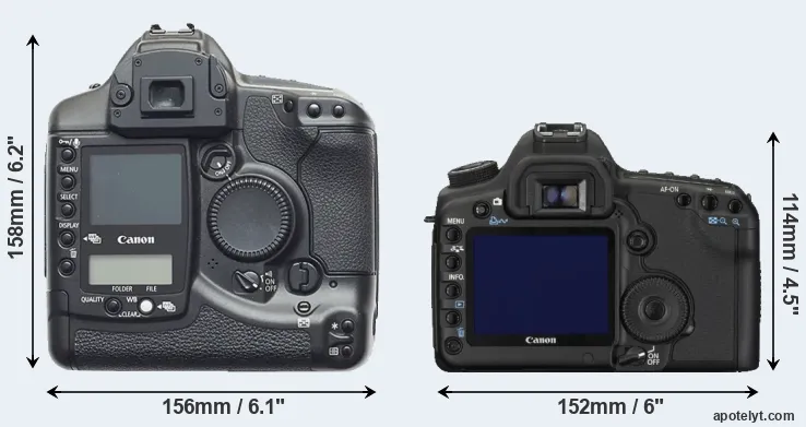 Comparison 1D or 5D Mark II rear