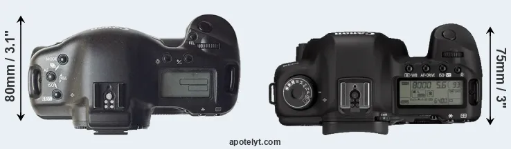Compare 1D versus 5D Mark II top