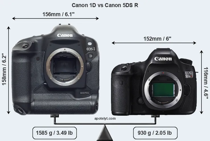 Size Canon 1D vs Canon 5DS R
