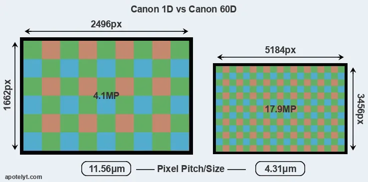 1D versus 60D MP