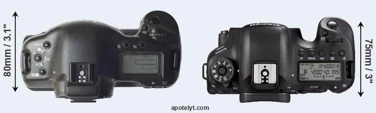 Compare 1D versus 6D Mark II top