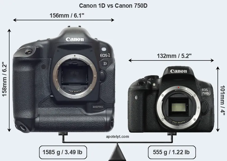 Size Canon 1D vs Canon 750D