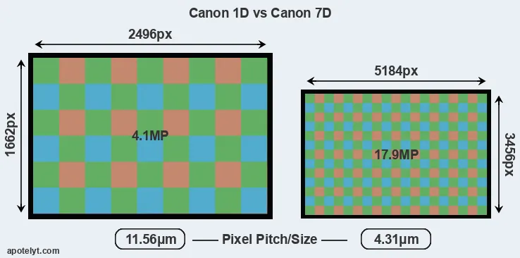 1D versus 7D MP