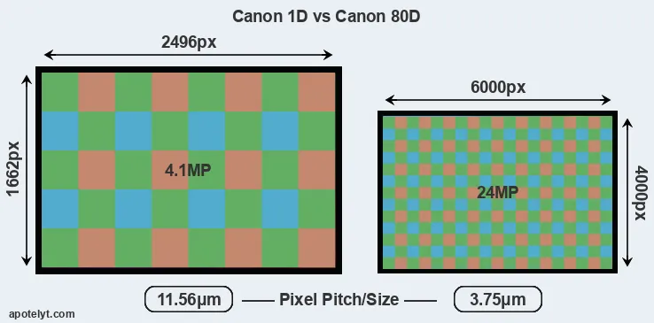 1D versus 80D MP