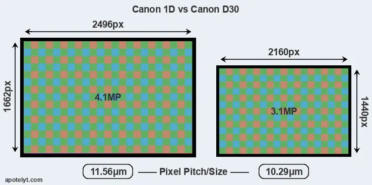 1D versus D30 MP