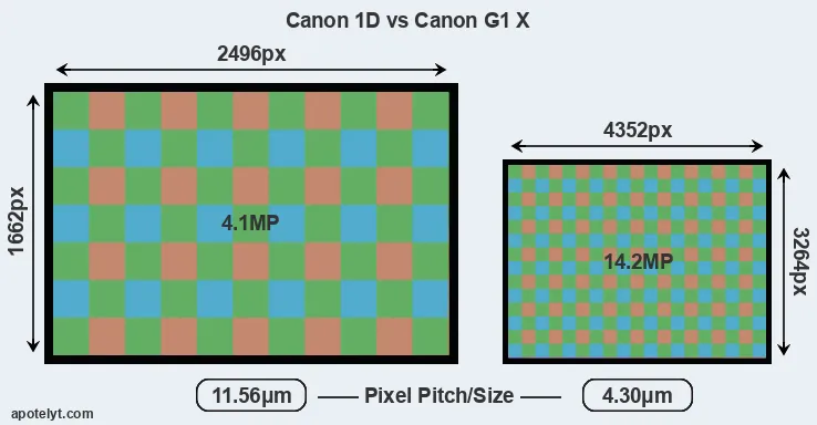1D versus G1X MP
