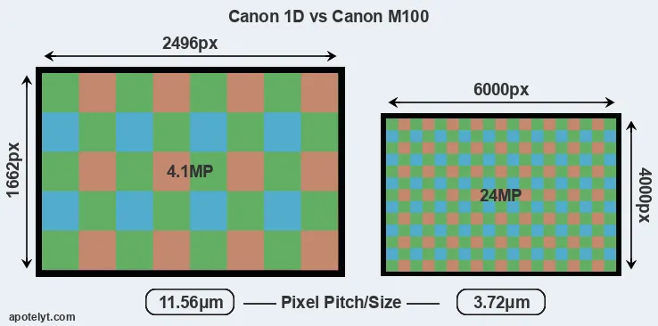 1D versus M100 MP
