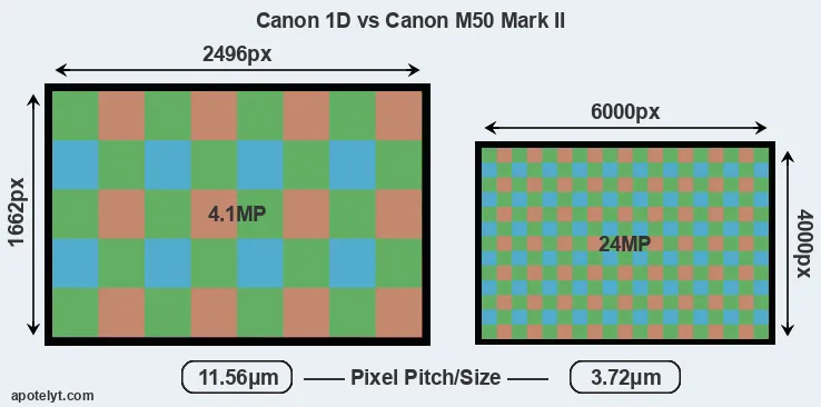 1D versus M50 Mark II MP