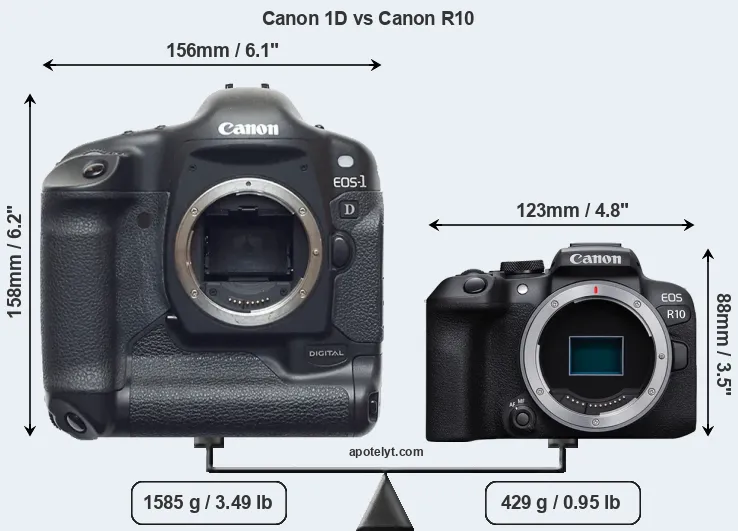 Size Canon 1D vs Canon R10