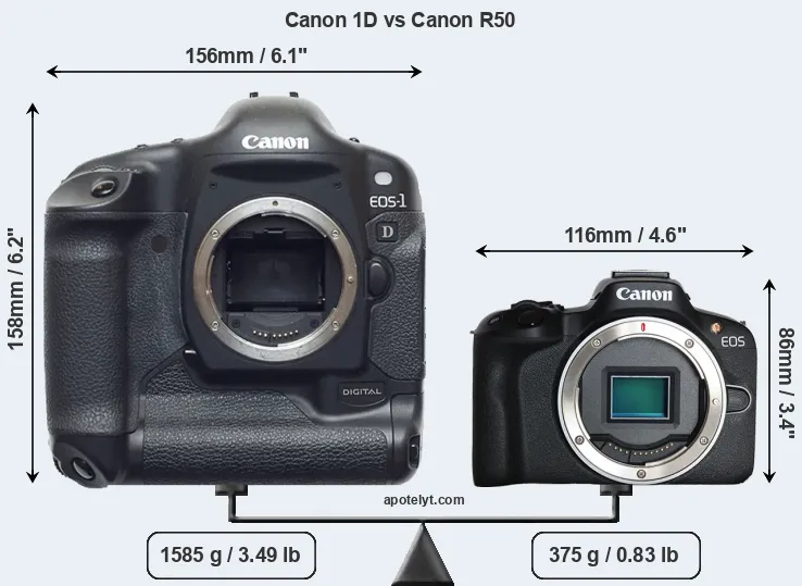 Size Canon 1D vs Canon R50