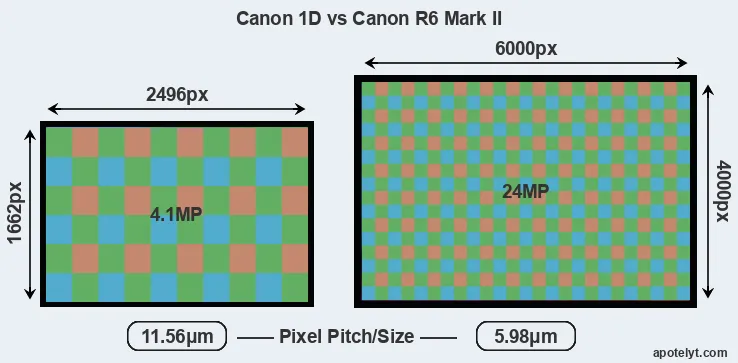 1D versus R6 Mark II MP