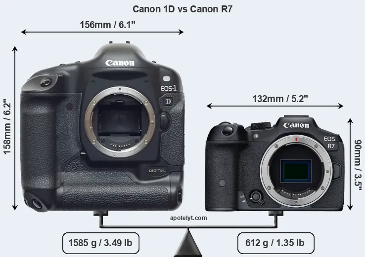 Size Canon 1D vs Canon R7