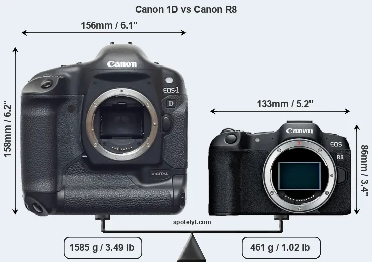 Size Canon 1D vs Canon R8