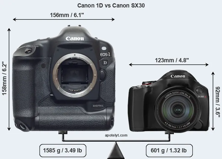 Size Canon 1D vs Canon SX30