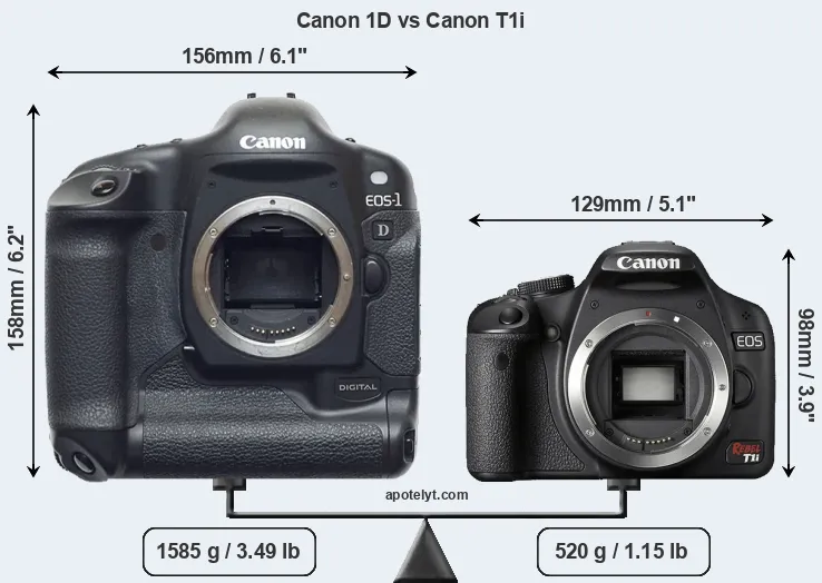 Size Canon 1D vs Canon T1i