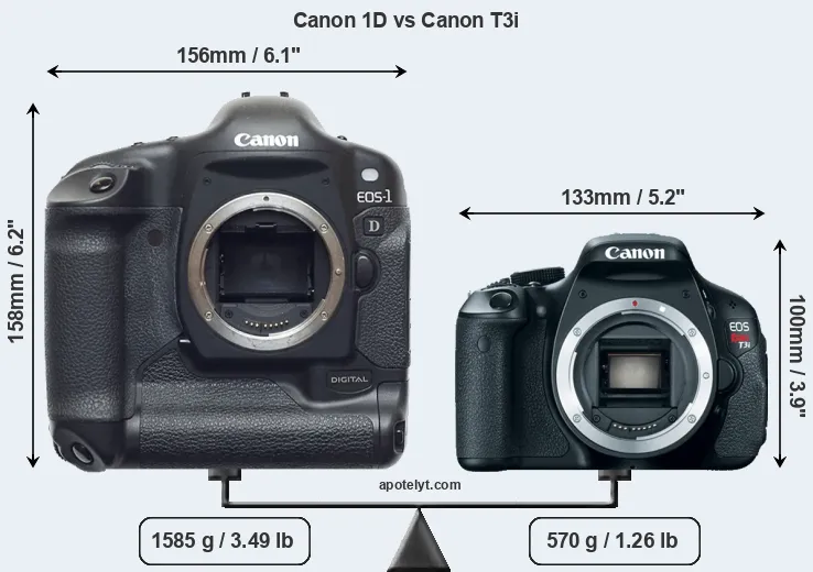Size Canon 1D vs Canon T3i