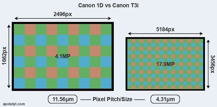 1D versus T3i MP